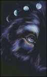 (image for) Wolf Eyes